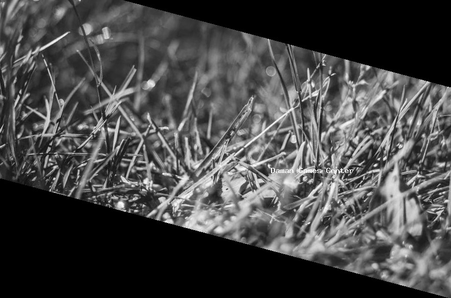 Valiant Tanks: Indian Glory Diwali Event Valiant Tanks: Indian Glory Diwali special event with decorated tanks and fireworks